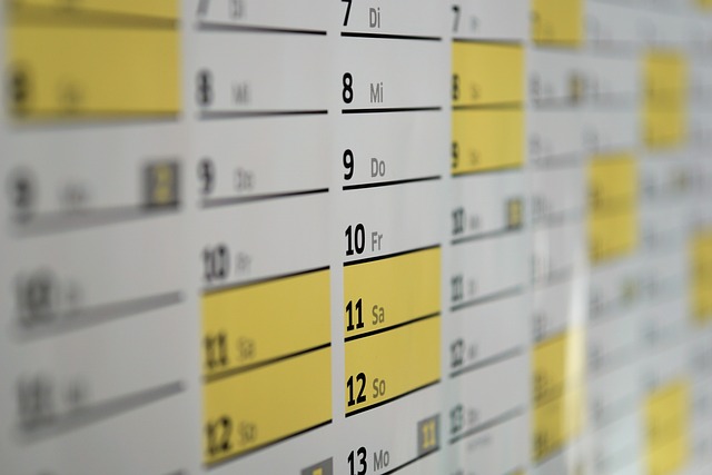 Calendarul estimativ al lansarilor